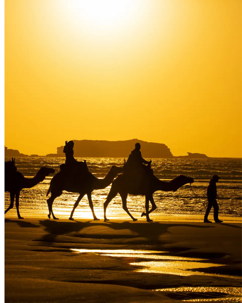 Cópia de Fotos Site (8)