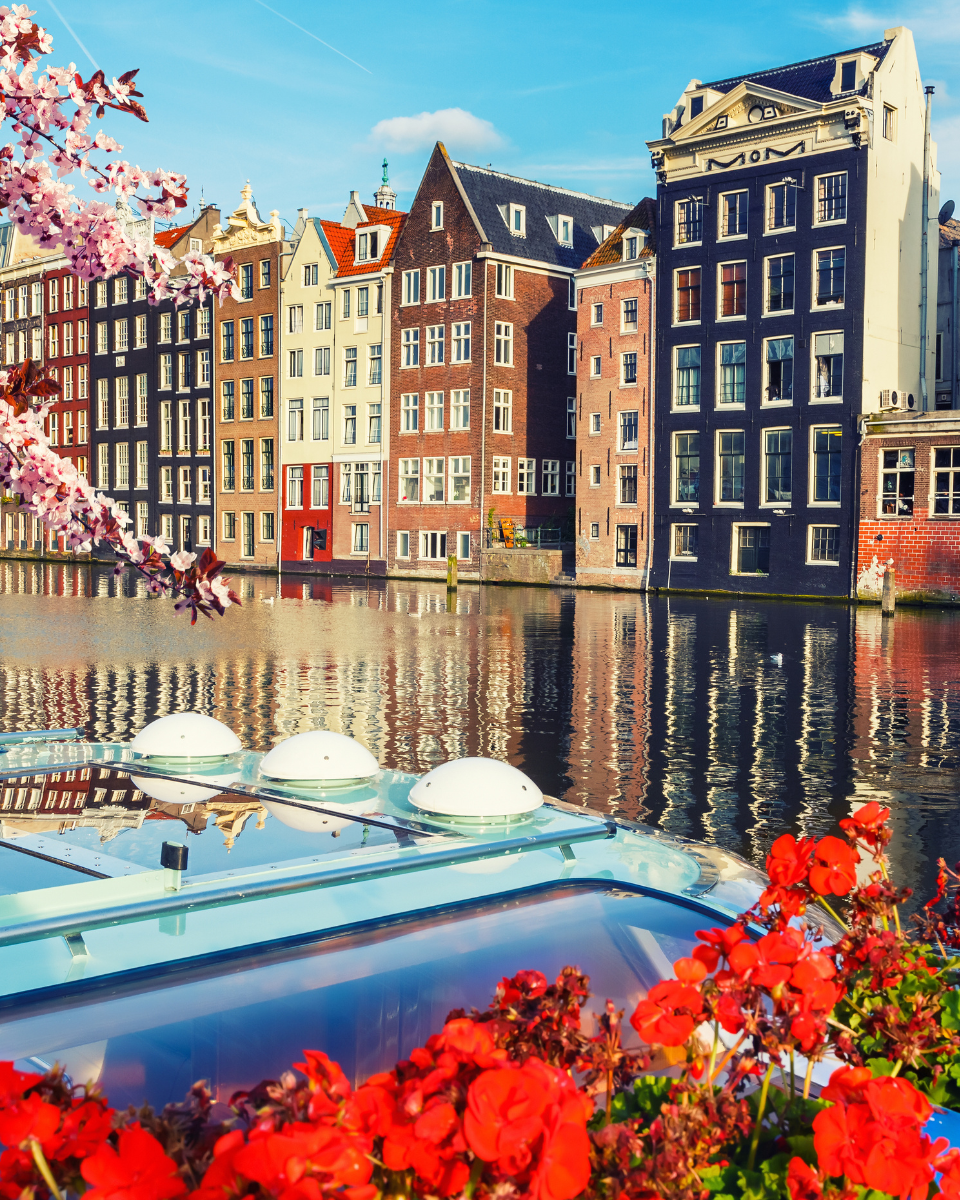 Cópia de Fotos Site (9)