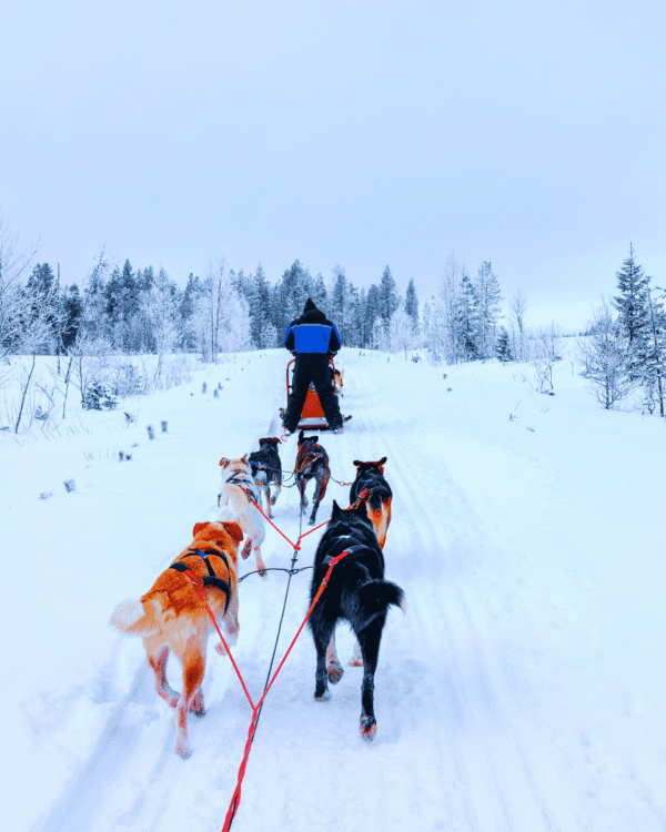 Lapônia finlandesa