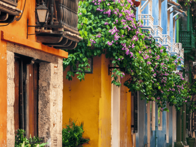Carnaval na Colômbia (5)