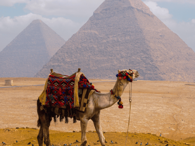 Cópia de Fotos Site (1)