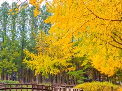 Cópia de Fotos Site (3)