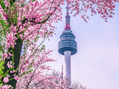 Cópia de Fotos Site (4)