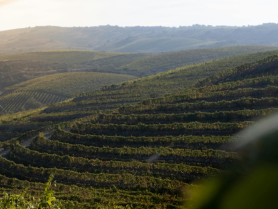 Cópia de Fotos Site (5)