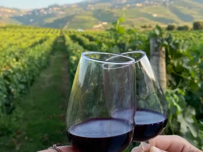 Cópia de Fotos Site (8)