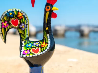 Cópia de Fotos Site (9)