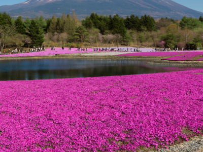 Cópia de Fotos Site (9)