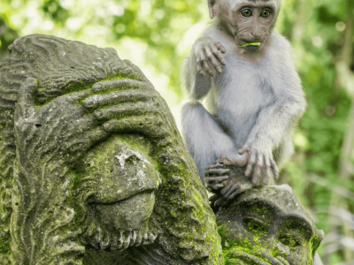 Cópia de Fotos Site -Singapura (10)