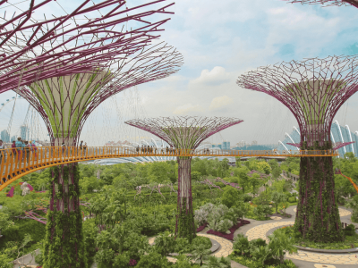 Cópia de Fotos Site -Singapura (3)