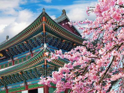 Coreia e Japão (3)