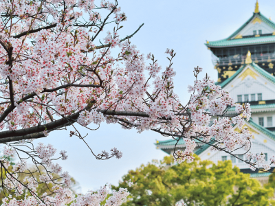 Coreia e Japão (9)