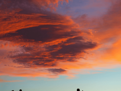 Deserto de Atacama (10)