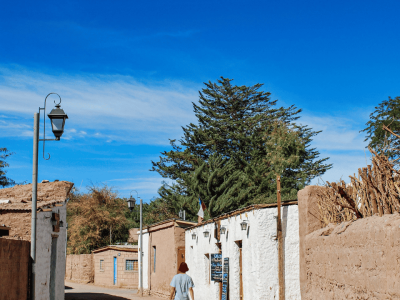 Deserto de Atacama (11)