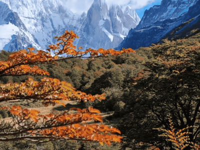 Desvendando China (4)