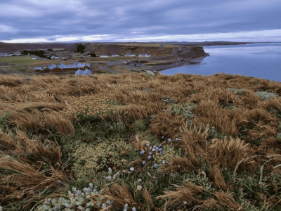 Desvendando China (6)