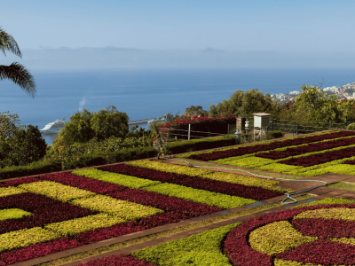 Ilha da Madeira (4)