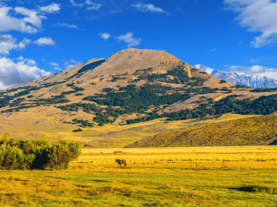 Patagoniaargentina (10)