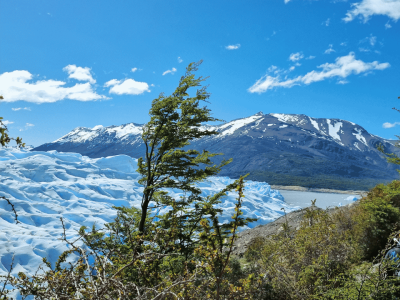 Patagoniaargentina (3)