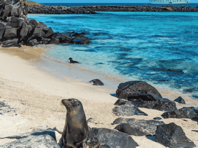 Réveillon Equador e Galápagos (2)