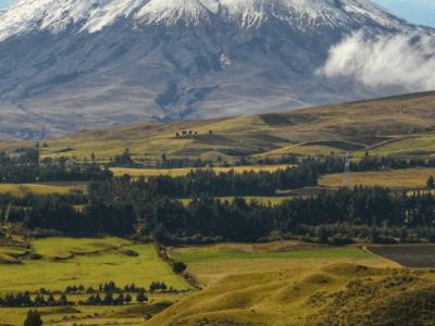 Réveillon Equador e Galápagos (8)