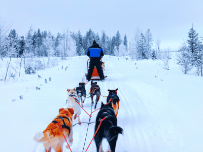Lapônia finlandesa