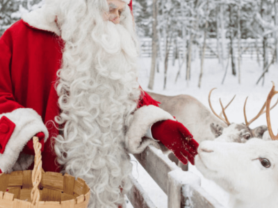 Rovaniemi com Iglu de Vidro (8)